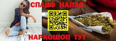 спиды Новодвинск