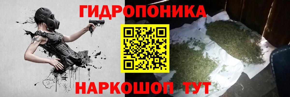 Каннабис OG Kush Первоуральск